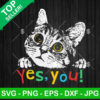 Funny Cat Face Yes You SVG