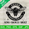 Cicada Sing Dance Molt SVG