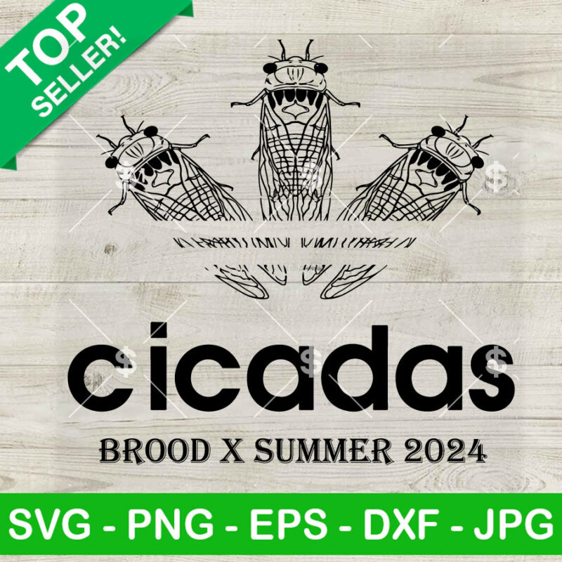 Cicadas Brood X Summer 2024 SVG, Cicada Concert Tour 2024 SVG PNG DXF EPS Design