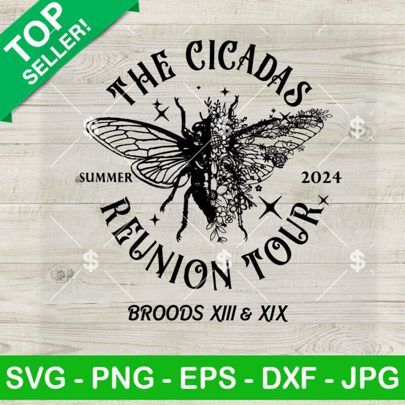 The Cicadas Reunion Tour 2024 SVG, Half Cicada Half Floral SVG, Cicada Concert Tour 2024 SVG PNG DXF EPS Design