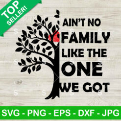 Ain't No Family Like The One I Got Family Reunion SVG