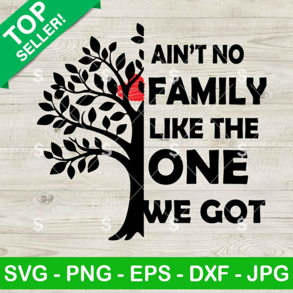 Ain't No Family Like The One I Got Family Reunion SVG
