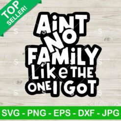 Ain't No Family Like The One I Got SVG