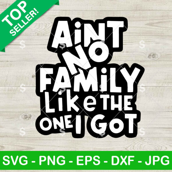 Ain't No Family Like The One I Got SVG