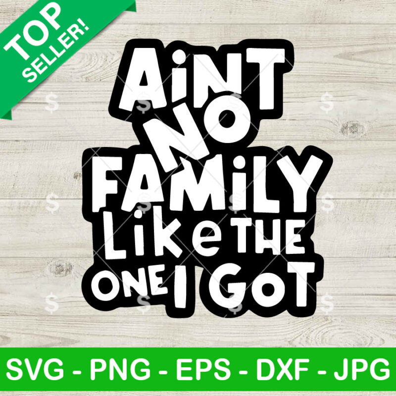 Ain't No Family Like The One I Got SVG