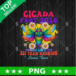 Cicada Fest 2024 PNG, Cicada Lover Tour Sublimation transfer PNG