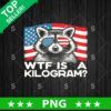WTF is A Kilogram Raccoon PNG, Raccoon 4th of July Sublimation transfer PNG