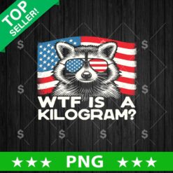 WTF is A Kilogram Raccoon PNG, Raccoon 4th of July Sublimation transfer PNG