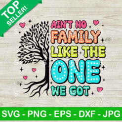 Aint No Family Like The One We Got SVG