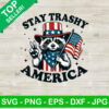 Raccoon Stay Trashy America SVG