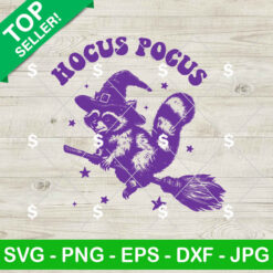 Funny Feral Girl Raccoon Witch SVG