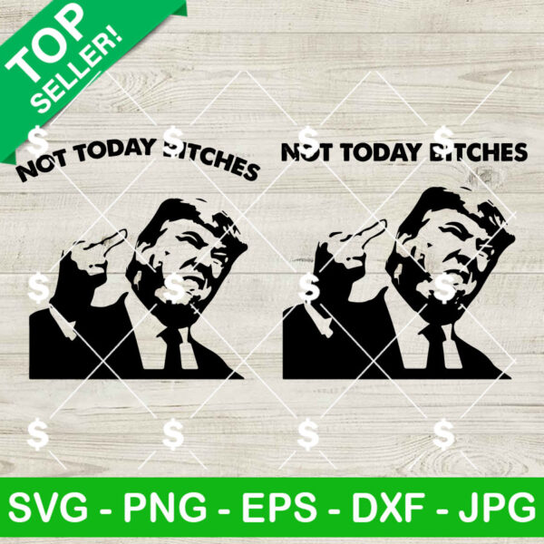 Not Today Bitches Trump 2024 SVG, Trump Shooting SVG, Trump Rally Shooter SVG, Trump 2024 SVG PNG Cricut
