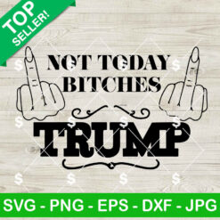 Not Today Bitches Trump Shooting SVG, Trump Shooting SVG, Trump Rally Shooter SVG PNG Cricut