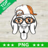 Tennessee Volunteers football Dog PNG, Tennessee Volunteers Sublimation transfer PNG