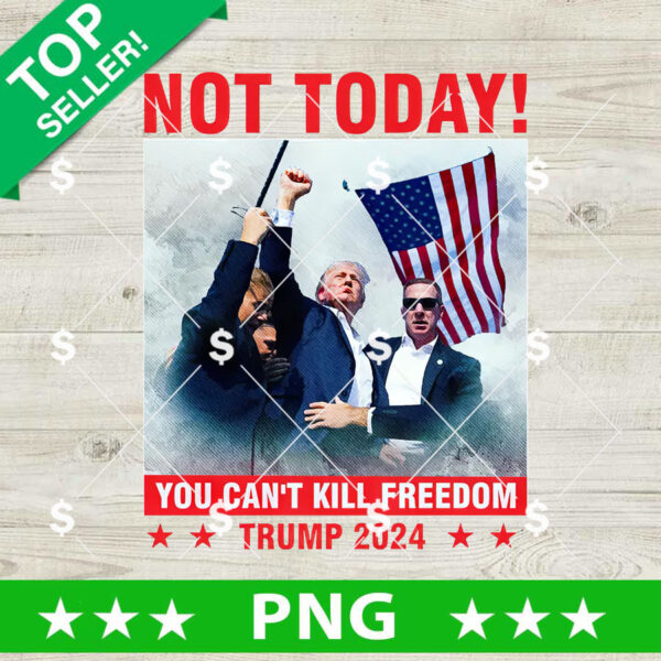 Not Today You Cant Kill Freedom PNG