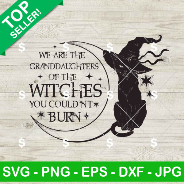 Black Cat Witches SVG