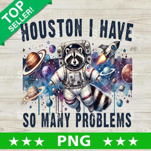 Houton I Have So Many Problems Raccoon Png