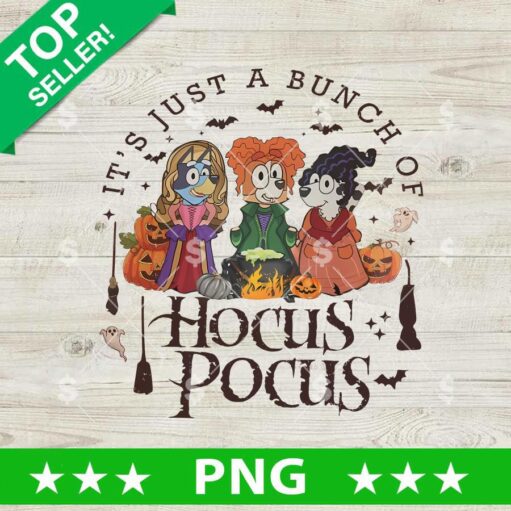 It's Just A Bunch Of Hocus Pocus Bluey PNG