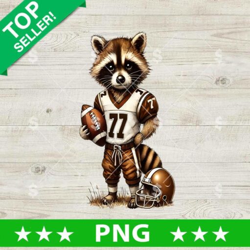 Raccoon With Football Png