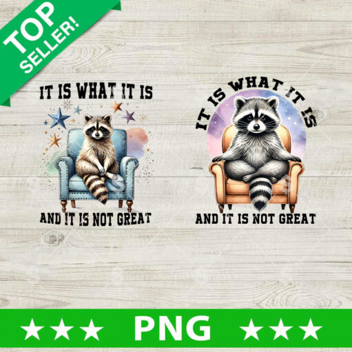 It is What it Is and it is not Great Raccoon PNG