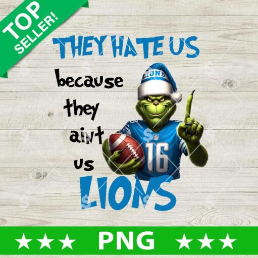 They Hate Us Because They Ain't Us Detroit Lions PNG