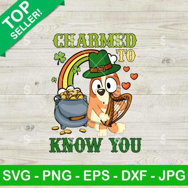 Bluey Charmed To Know You SVG, Bluey St Patrick's Day SVG, Bluey Lucky Vibes SVG