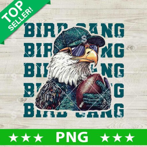 Bird Gang Eagles Football PNG