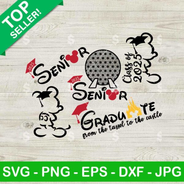 2025 Disney Big Senior SVG Bundle
