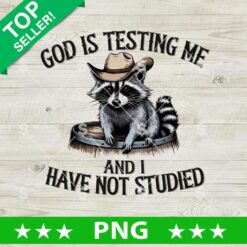 God is Testing Me And I Have Not Studied PNG, Raccoon Funny Quotes PNG, Raccoon Sublimation PNG