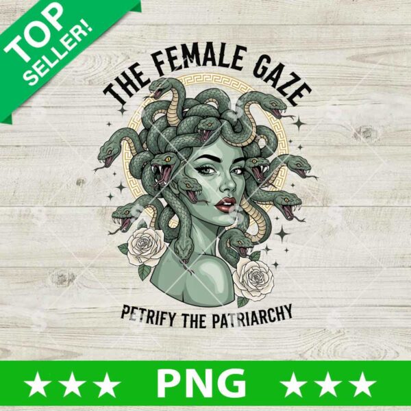 The Female Gaze Petrify The Patriarchy Medusa Png