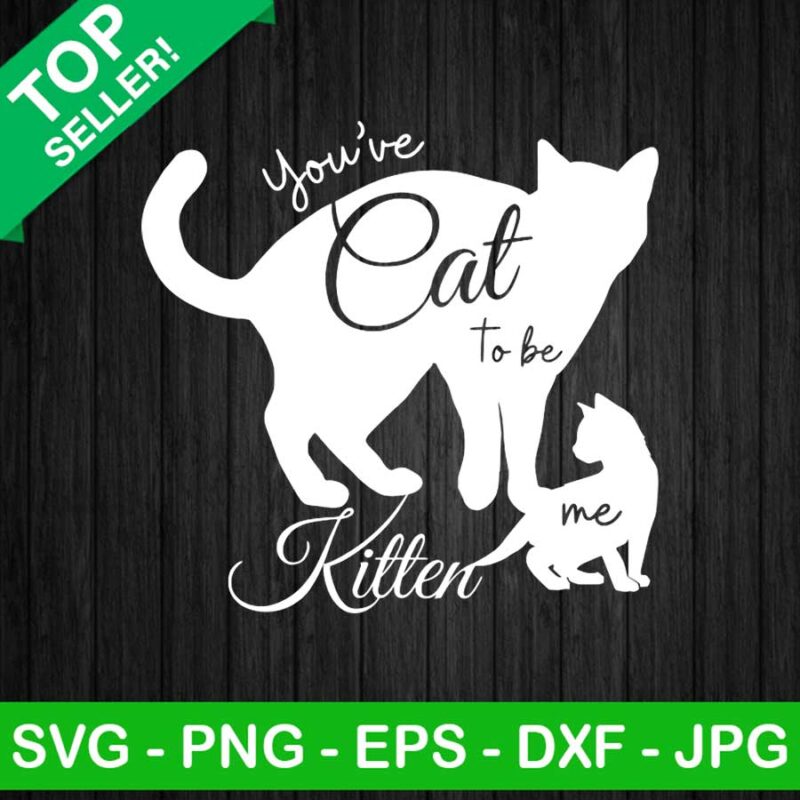 Cats Kitten Funny Quotes PNG, Cats Sublimation transfer PNG, Funny Cat Transfer PNG