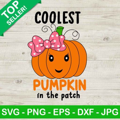Coolest pumpkin in the path SVG, Coolest pumpkin SVG, Pumpkin halloween SVG