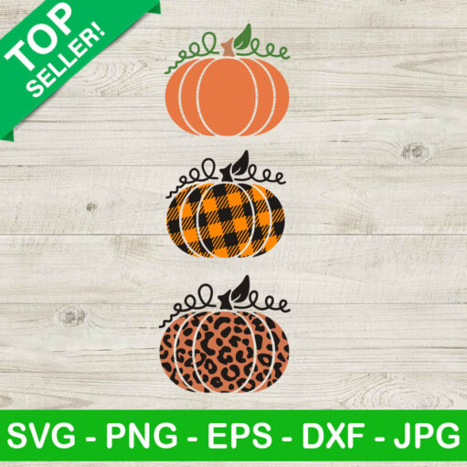Pumpkin outline SVG Pumpkin halloween SVG Pumpkin fall SVG