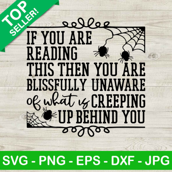 Spider web halloween SVG, Spider wed SVG, Halloween SVG