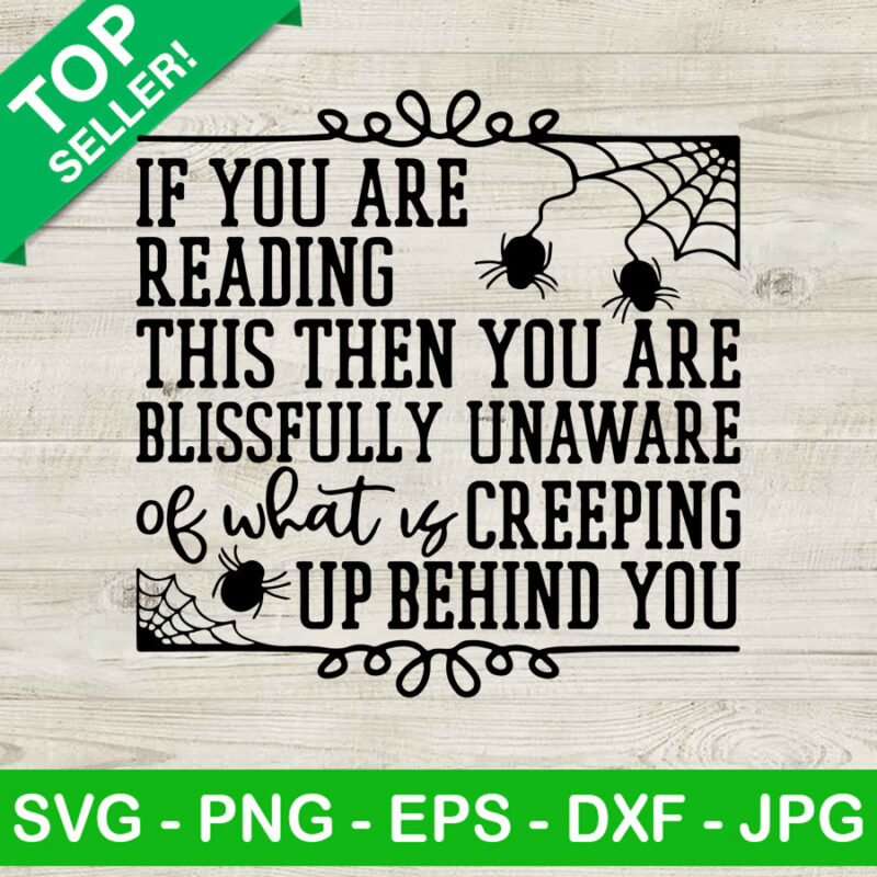 Spider web halloween SVG, Spider wed SVG, Halloween SVG