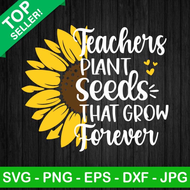 Teacher Plant Seeds That Grow Forever SVG, Sunflower Seeds SVG, Teacher Haft Sunflower SVG
