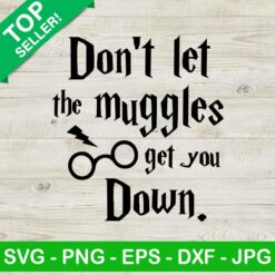 Don't let the muggles get you down PNG, Harry Potter PNG, Muggles get you down PNG