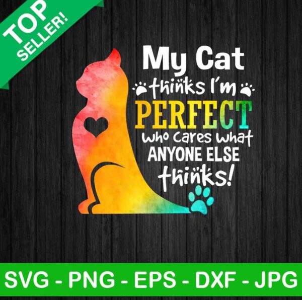 My cat thinks i'm perfect PNG, My cat who cares else thinks Sublimation transfer PNG, Funny quote Heat Transfer PNG