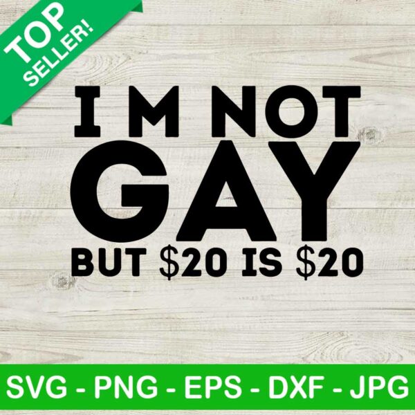 I'm not gay but 20 dollars is 20 dollars SVG, I'm not gay SVG, Gay SVG