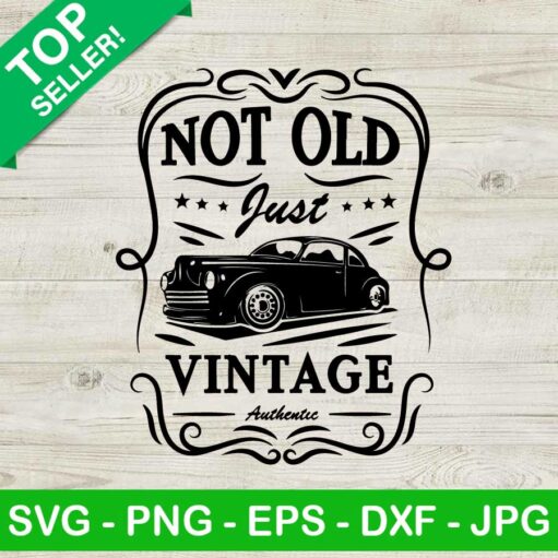 Not old just vintage SVG, Funny not old SVG, Just vintage SVG