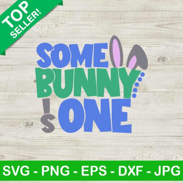 Some bunny is one SVG, Some bunny SVG, First birthday SVG