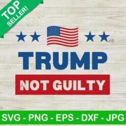 Trump not guilty SVG, Donald Trump SVG, America flag SVG