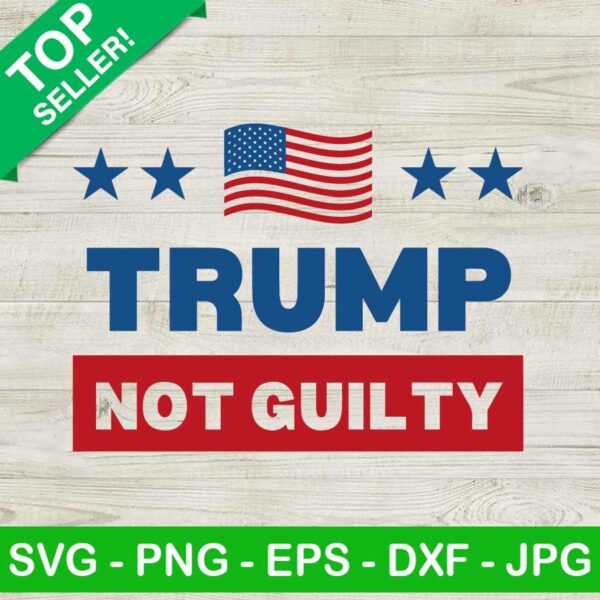 Trump not guilty SVG, Donald Trump SVG, America flag SVG