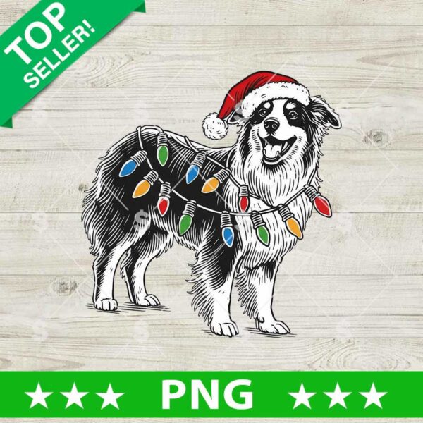Australian Shepherd Dog Christmas Light PNG