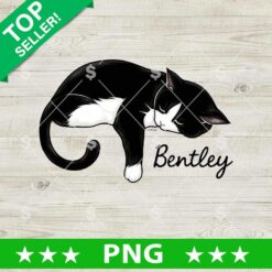 Cat Sleep Custom Name PNG, Cat Lovers Digital Design, Sleeping Cat PNG Sublimation Files