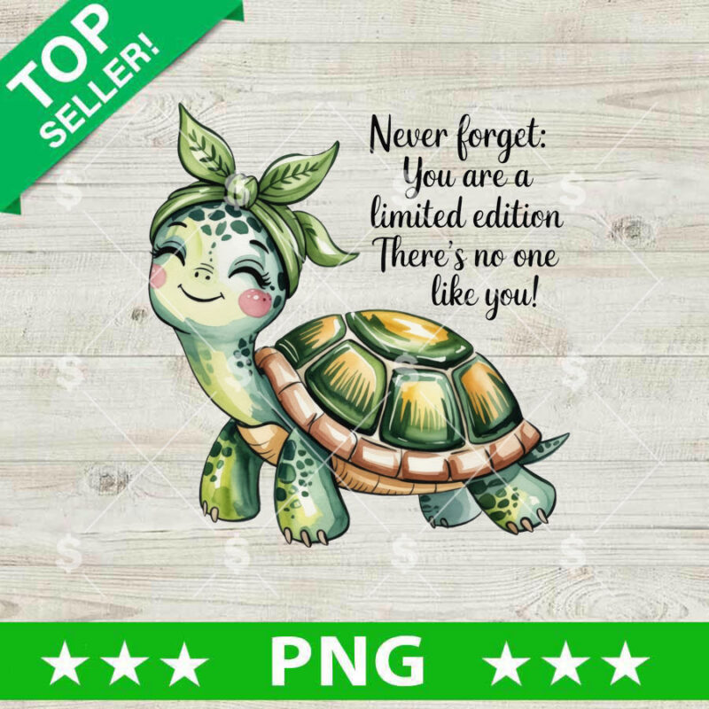 Funny Turtle Quotes PNG