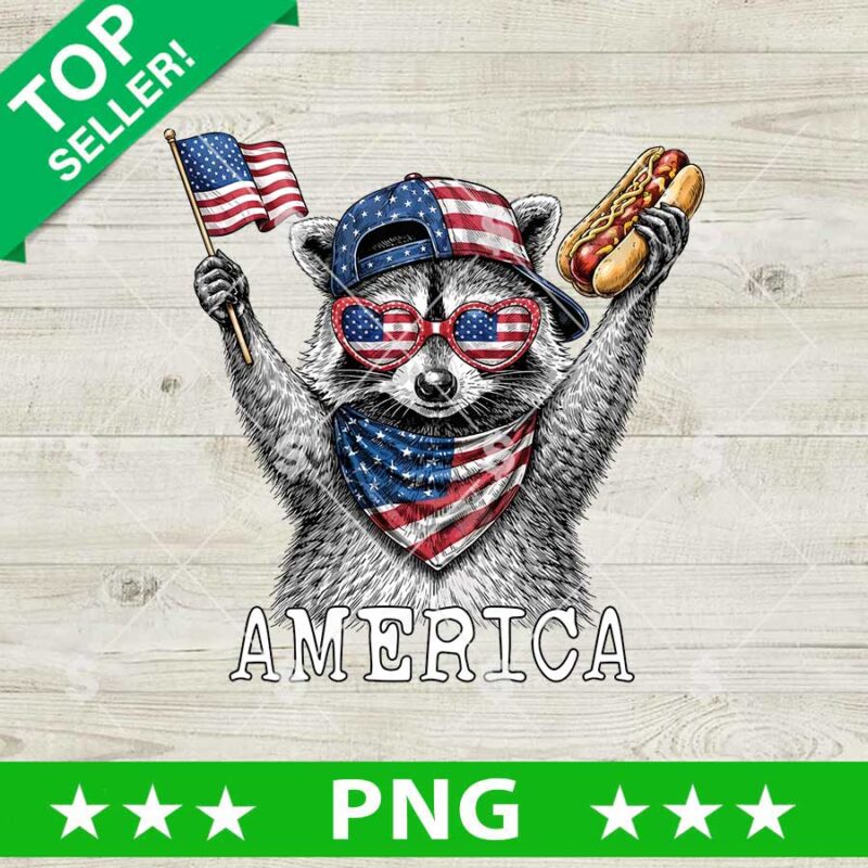 America Raccoon 4th of July PNG