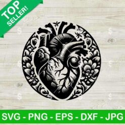Heart Anatomy SVG