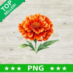 Marigold Flower PNG