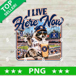 Raccoon Houston Astros PNG